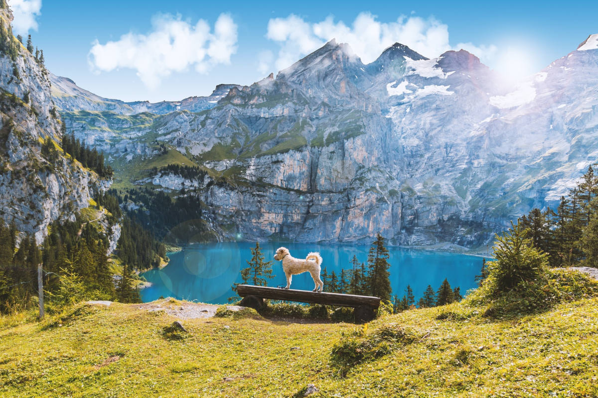 Der Hochsommer krallt sich in der nächsten Woche fest!