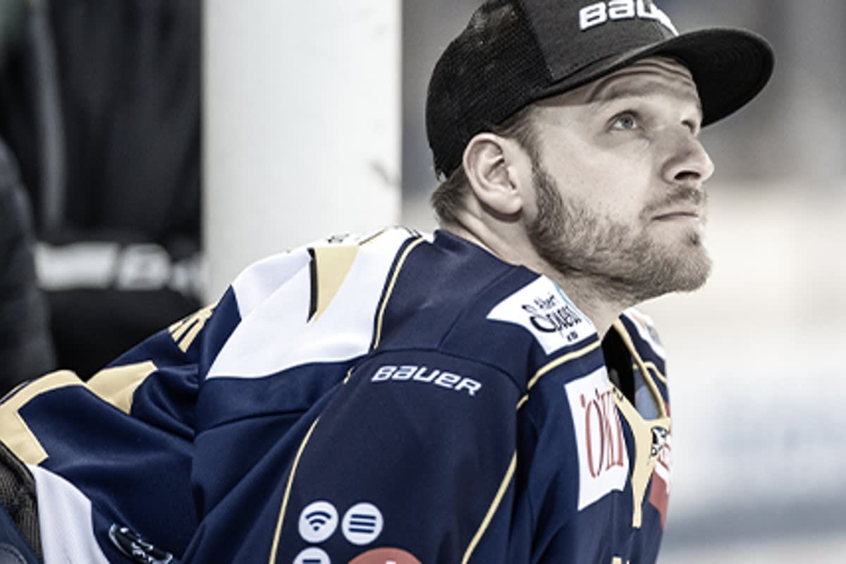 Robert Mayer auf Leihbasis zu den SCL Tigers