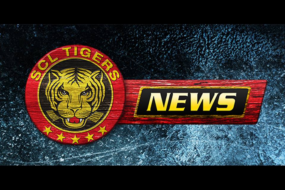 SCL Tigers – Neue Strategie