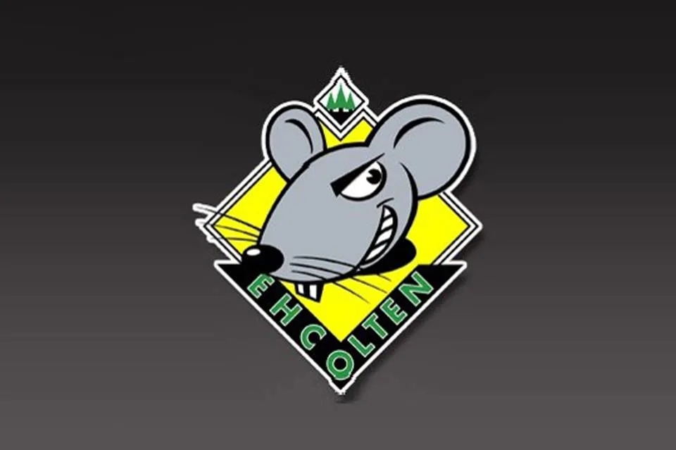 Drei neue Spieler für den EHC Olten