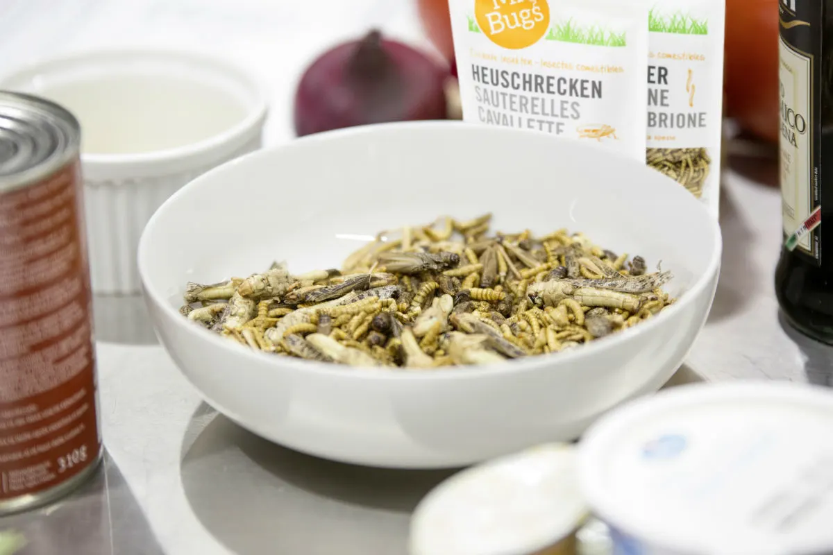 Insekten sind ab sofort auch in der Migros erhältlich