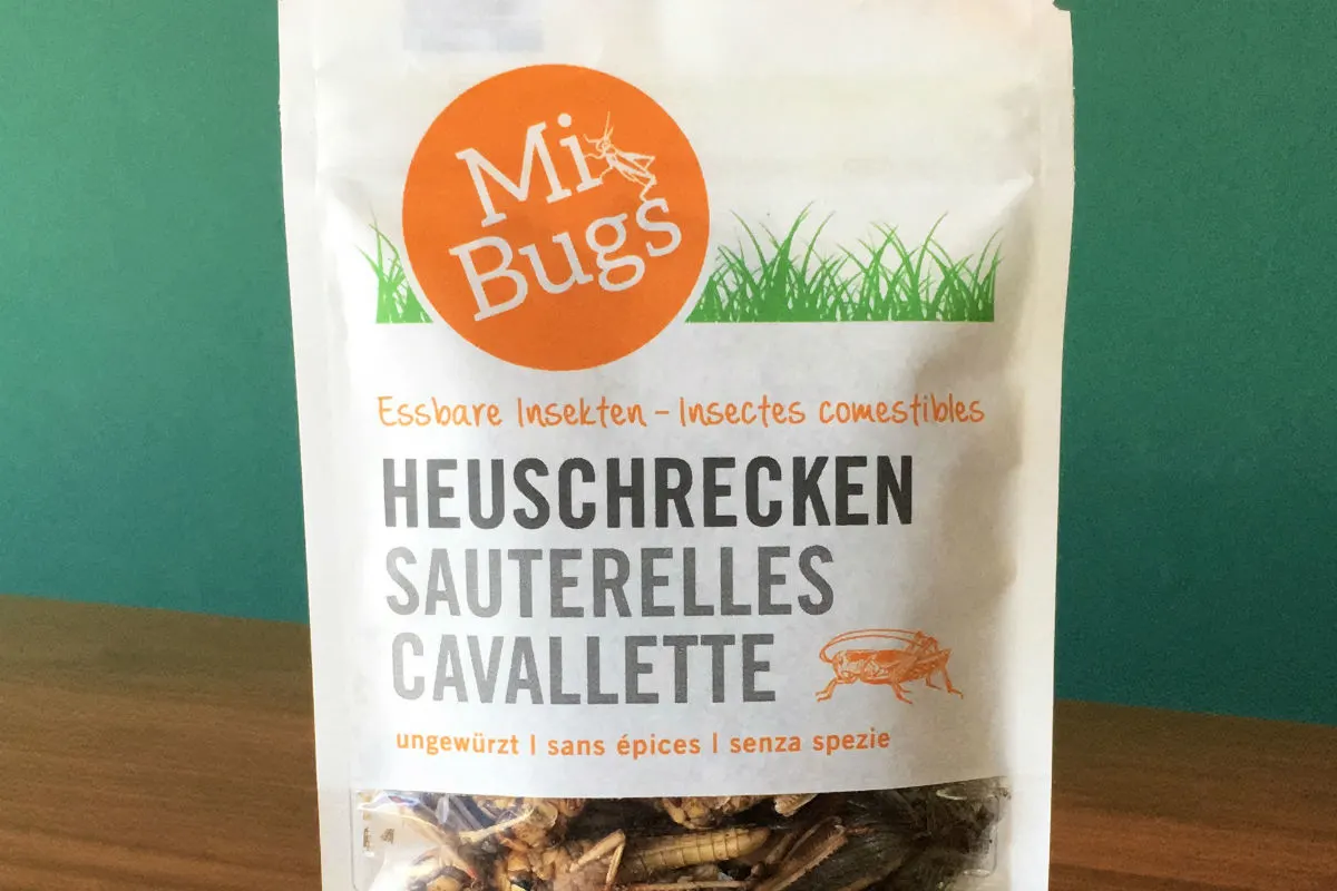 Insekten sind ab sofort auch in der Migros erhältlich