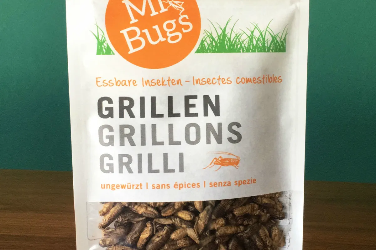 Insekten sind ab sofort auch in der Migros erhältlich
