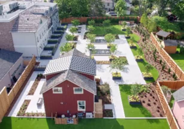 Zen Green Roof