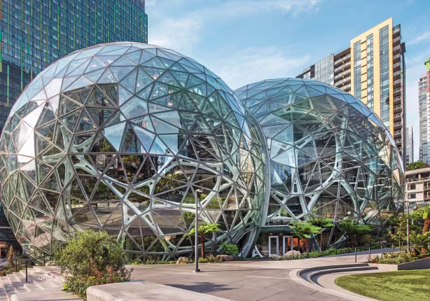 Amazon Spheres