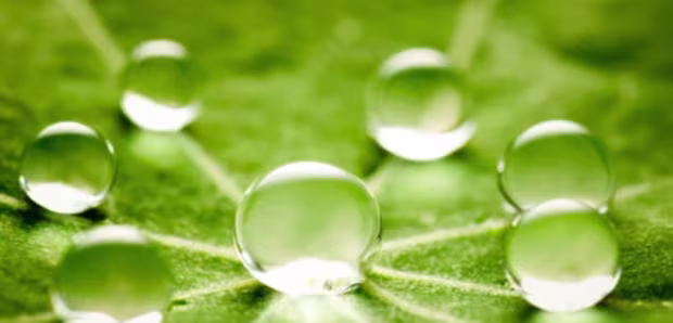 Sustainability