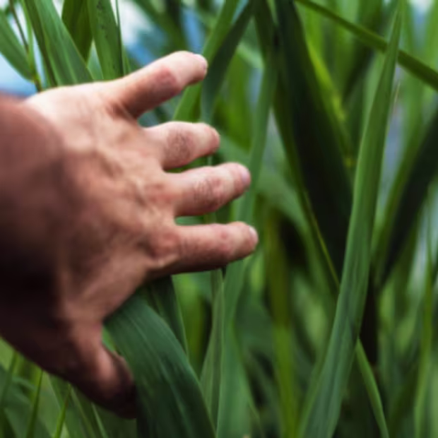 Sustainability