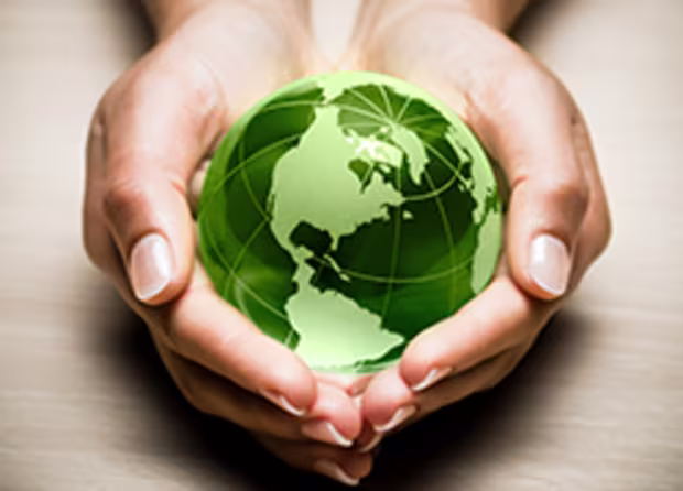 Sustainability Efforts