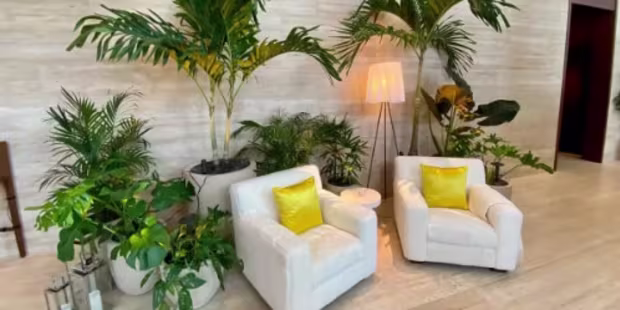 Interior landscaping