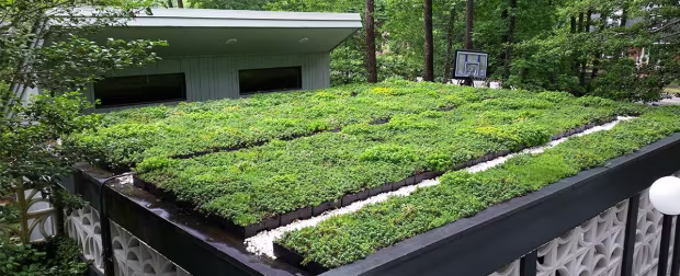 Vegetated Green Roofs