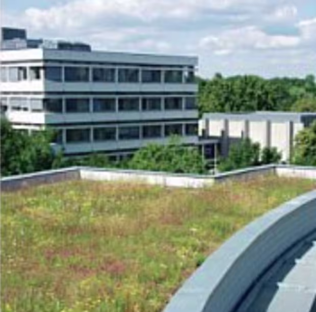 Extensive Green Roof