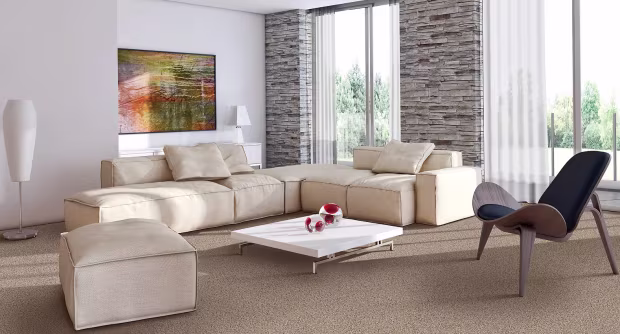 Design and Aesthetic Appeal