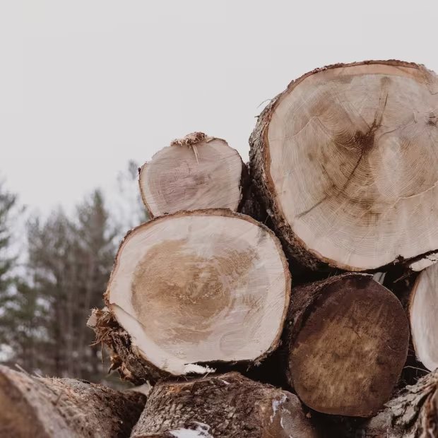 Perfectly Sourced Raw Material