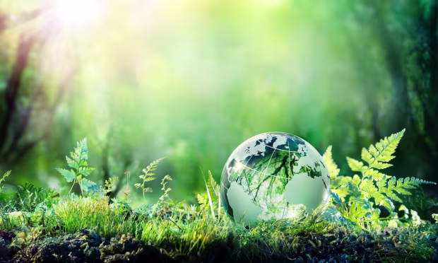 Sustainability