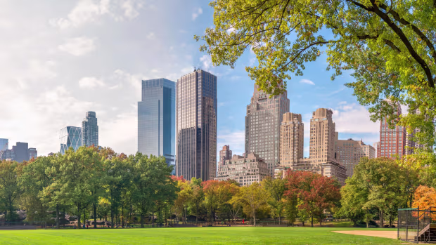Sustainability , Transparency, and Innovation