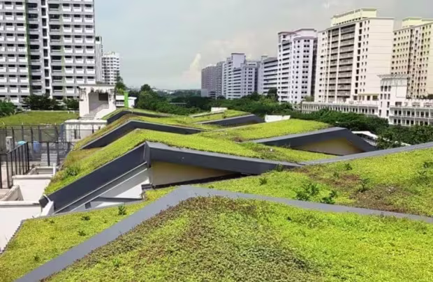 Urban Sustainability