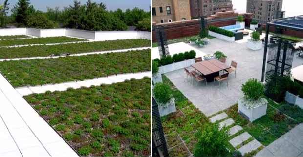 Roof System Management