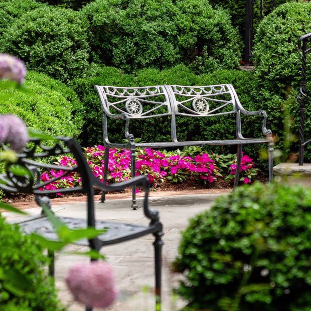 Outdoor Ambiance Enhancement