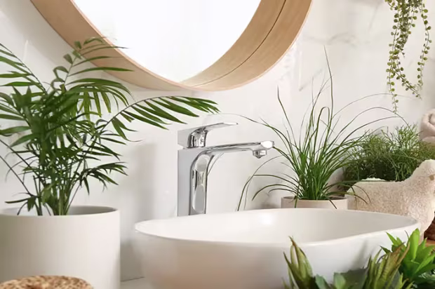 Sustainability Practices
