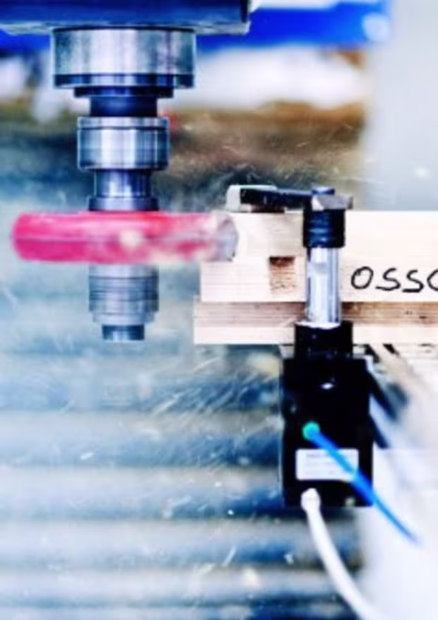 Sustainable and Ethical Production