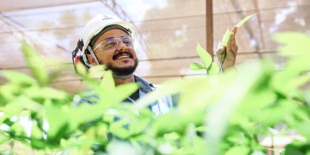 Sustainability