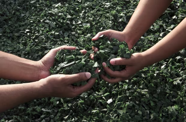 Sustainability