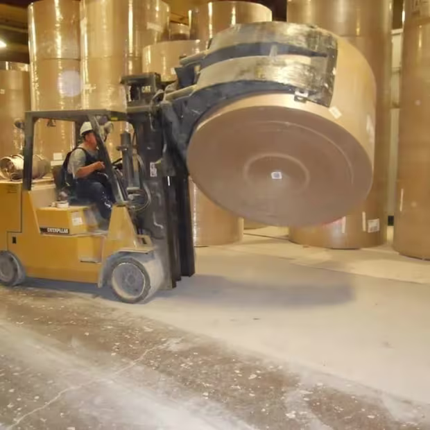 Skilled Professionals