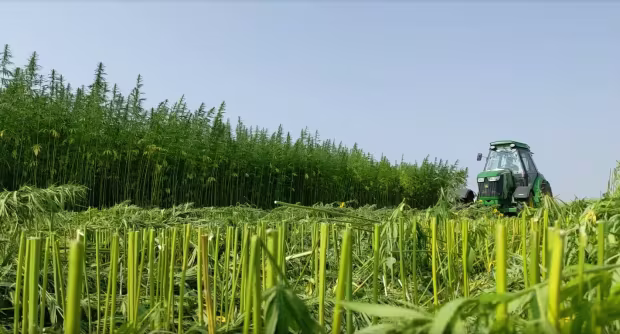 Carbon Capturing