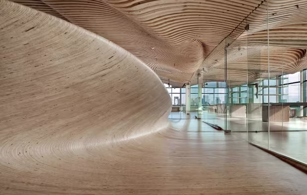 Freeform Geometries Design