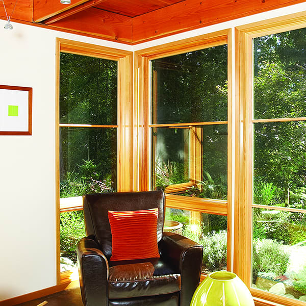 French Swinging Door