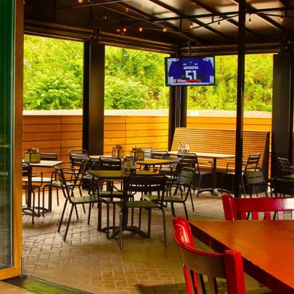 Folding Door