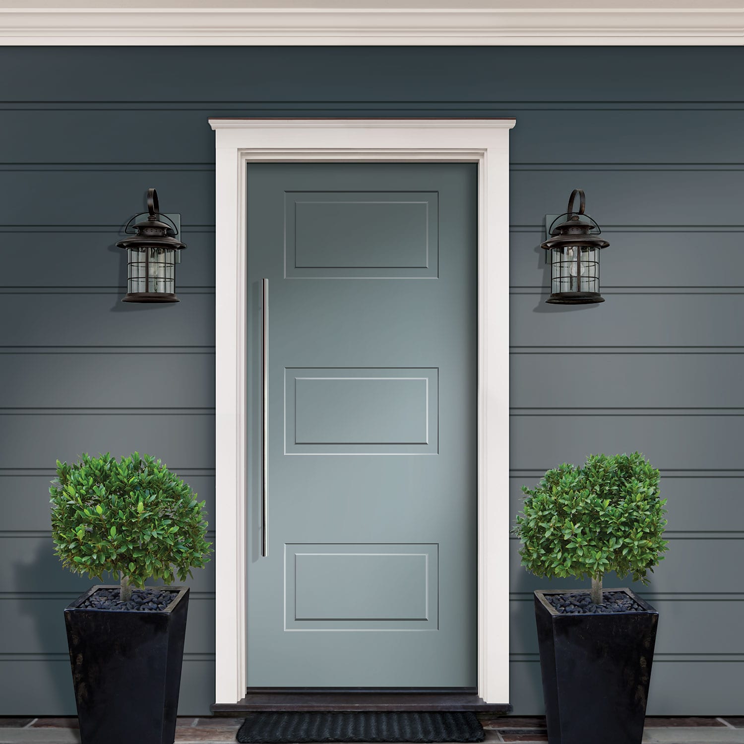 Swinging Door