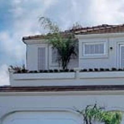 Awning - Vinyl
