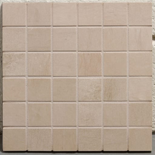 2X2 Mosaic