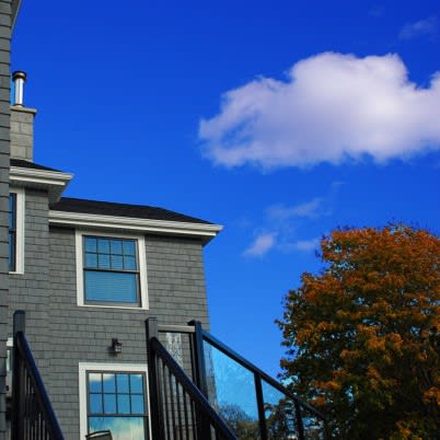 Designer Shingles