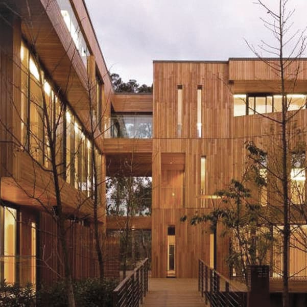 Bamboo RainClad
