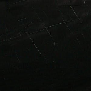 Belgian Black