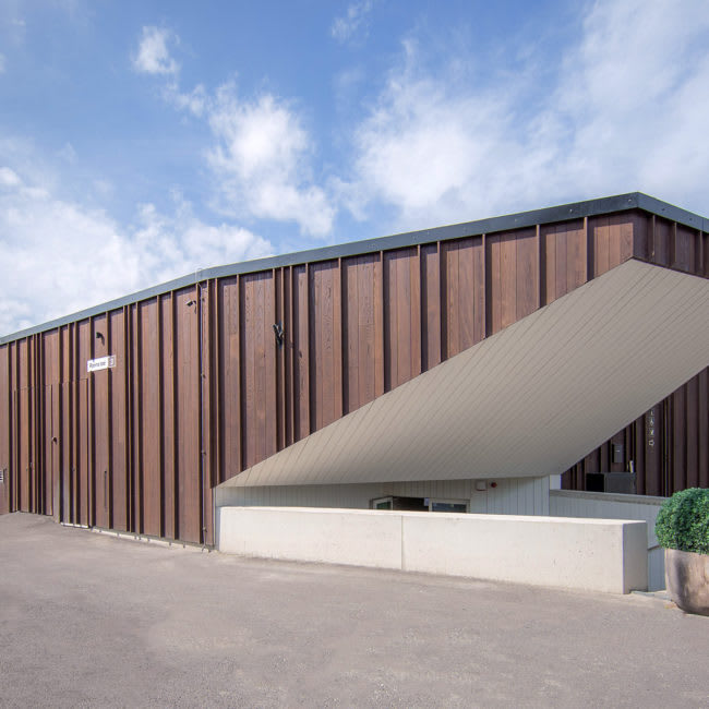 Ash Cladding