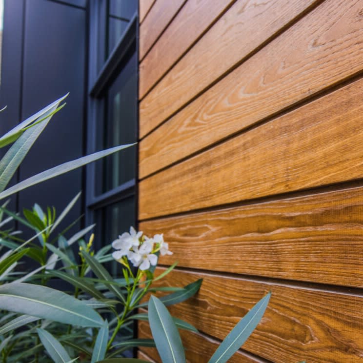 Ash Cladding