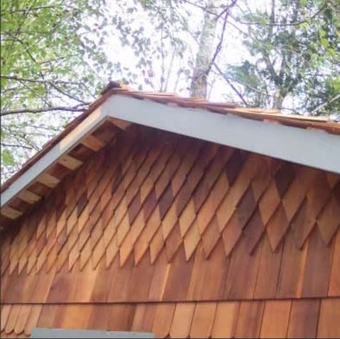 Victorian Shingles