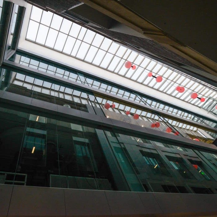 Lean-to Skylight