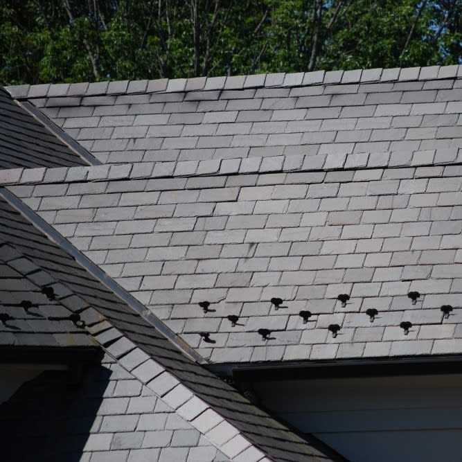 Vermont Grey Slate