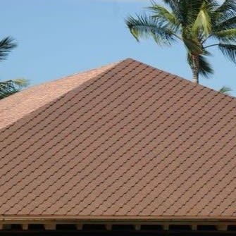 DS1 Shingles