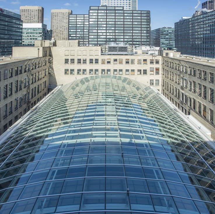 Vault Skylight