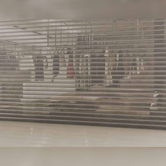 Commercial Roll-up Grille