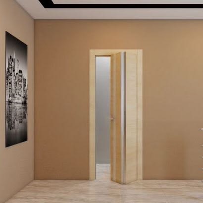 Folding Door