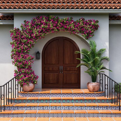 Entry Door