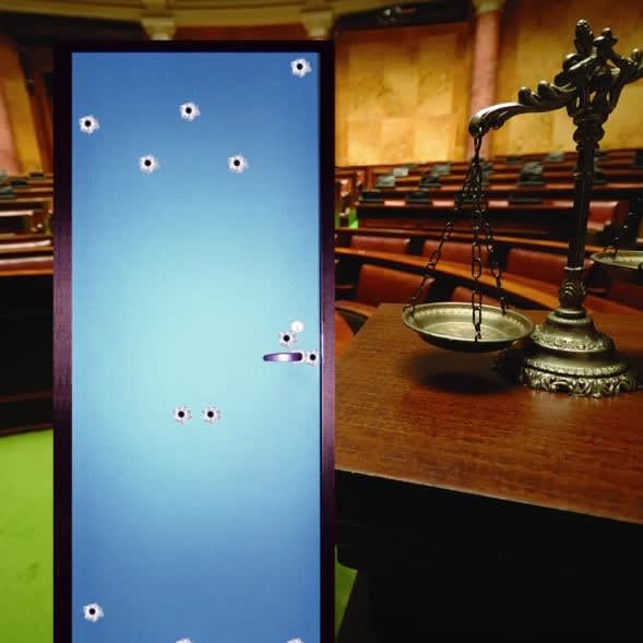 ArmorShield Swinging Door