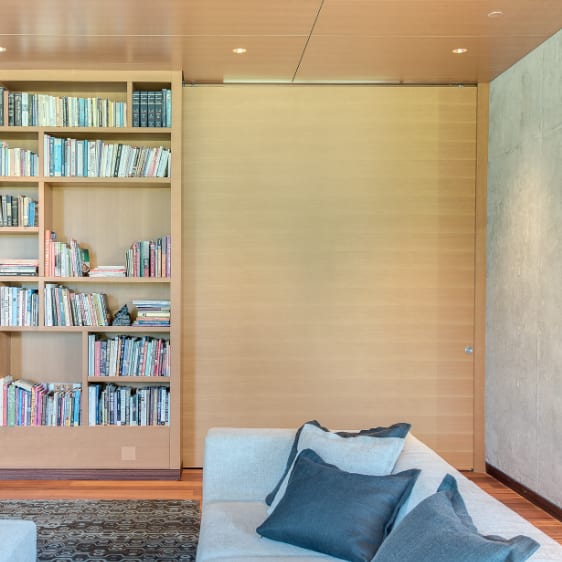 Pocket Door