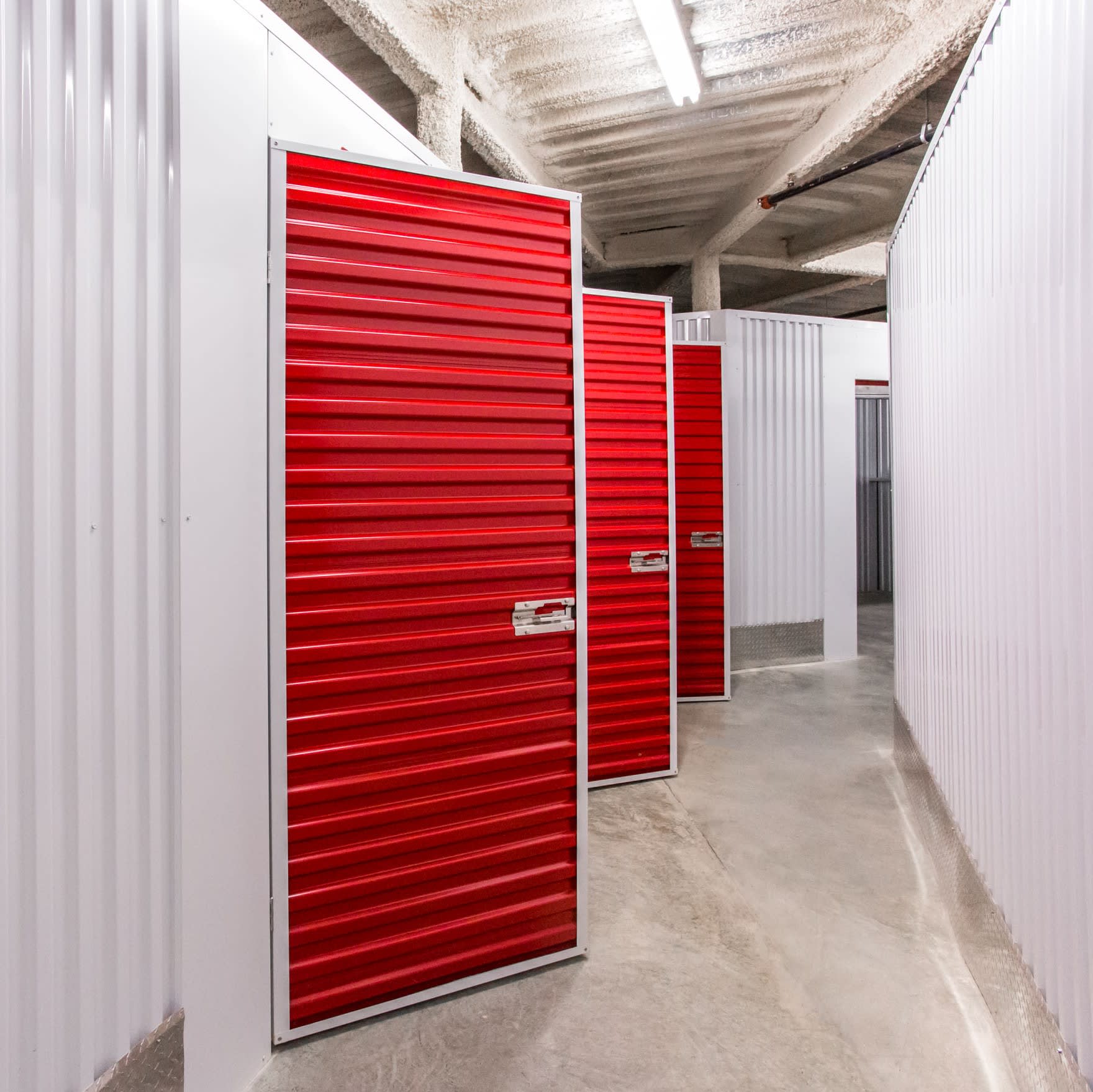 Swing Doors
